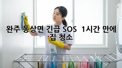 완주 동상면 긴급 SOS! 🏡 1시간 만에 집 청소🧹✨