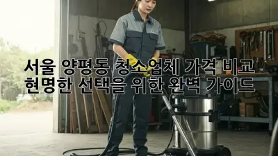 서울 양평동 청소업체 가격 비교: 현명한 선택을 위한 완벽 가이드