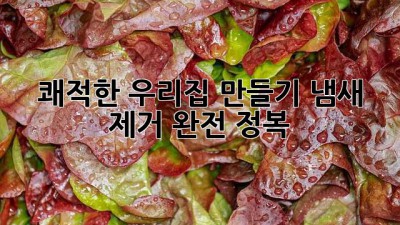 👃 쾌적한 우리집 만들기: 냄새 제거 완전 정복! 🏡